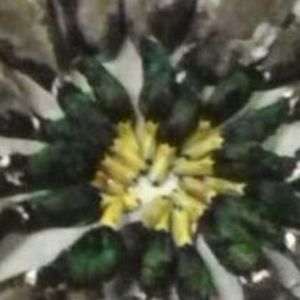 Meet your Posher, Derek